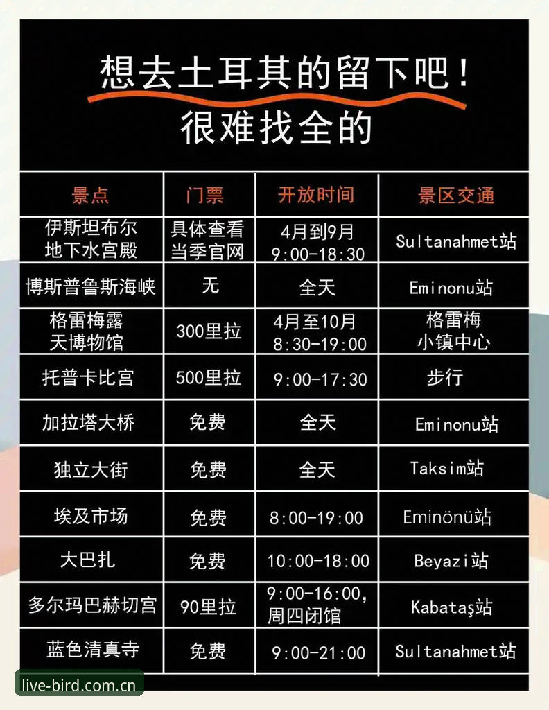 掌握世界杯观赛签证难题的实用指南——从小鸟体育平台看约旦土耳其球迷困境